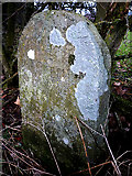 NY7611 : Boundary stone and possible bench mark near Beckstones by Karl and Ali