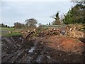 Freshly cut log pile, off Moss End Lane