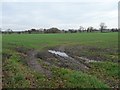 SJ7863 : Muddy field entrance off Moorhead Lane by Christine Johnstone