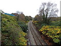 Railway line NE of Jenkins Road, Skewen