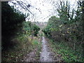 Footpath to Snodhurst Bottom from Magpie Hall Road