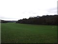 Football pitches, Snodhurst Bottom