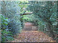 Footpath between Causey Hill Way and Causey Hill Road