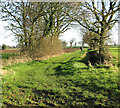 Bridleway to Cantley