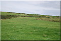SM8601 : Farmland, Angle Peninsula by N Chadwick