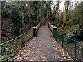 Footbridge in Alexandra Park, Penarth