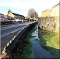 Plasmawr Road stream, Fairwater, Cardiff