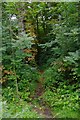 Path from Comberton Road to Heronswood Road, Spennells, Kidderminster