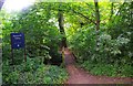 Footbridge over Hoo Brook, Spennells, Kidderminster