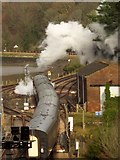 SX8851 : Steam train leaving Kingswear by Derek Harper