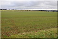 Arable land near Calmsden.