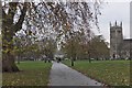 Footpath on Clapham Common