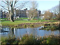 Looking across the pond in Parish Wood Park