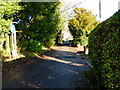 Looking along Lawday Link