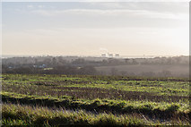 TQ2997 : Farmland at edge of Williams Wood, Trent Park, Cockfosters, Hertfordshire by Christine Matthews