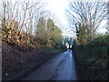 Lane leading to Holy Cross Green