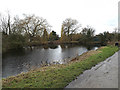 Pond off Caxton Road