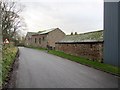 Road at Mill Rigg Farm