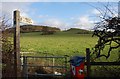 Start of public footpath from Stourbridge Road, Hagley, Worcs