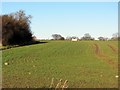 Arable field south of West Woodside Farm