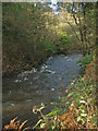 A glimpse of the River Ogmore near Pant-yr-awel