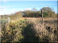 Gerrards Cross: Footpath to Hedgerley Green (2)