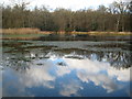 Gerrards Cross: New Pond