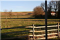 Grassland north of Scamblesby