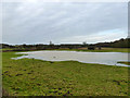 Flooded field, Nedging