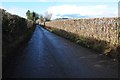 Country road at Kenchester