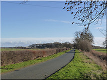 SE5418 : Highfield Lane near Womersley by Alan Murray-Rust