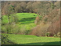 Dalmuir Municipal Golf Course