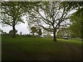 Grayshott Allotments