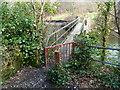 River footbridge, Cwmavon