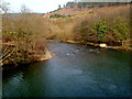 Afon Afan flows towards a footbridge, Cwmavon