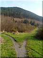 Track fork on the east bank of the Afon Afan, Cwmavon