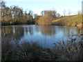 Pond to the west of Grantham Road