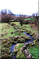 Mountain stream