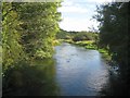SU4621 : River Itchen at Highbridge by Nigel Cox