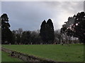 St Mary, Dinton: churchyard (d)