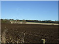 Ploughed farmland, Burnfold