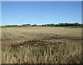 Stubble field off the A920