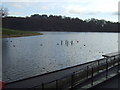 Waterloo Lake, Roundhay Park