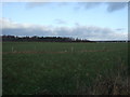 Farmland, Alwoodley Gates