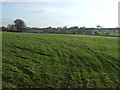 Grazing of Tarn Lane