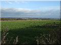 Farmland off Tarn Lane