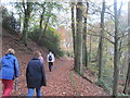 Boggart Hole Clough, Manchester