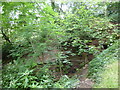 Footbridge on path to Warhurst Fold