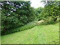 Himalayan Balsam on path near Warhurst Fold