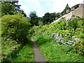 Terraced cottages at Hodge Lane